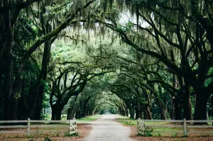 Where to stay in Savannah