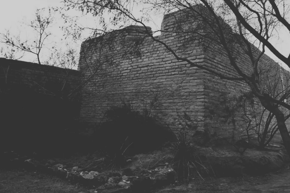 Old adobe presidio wall among bare trees in Tucson