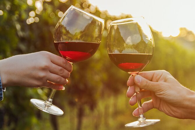 A Wine Tasting Experience in the Vineyards of the Desert
