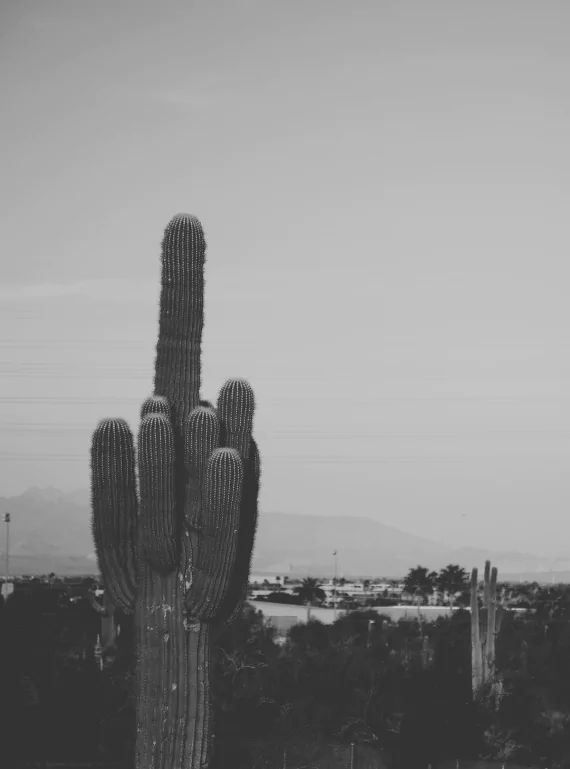 Haunted Tours in Phoenix, Az