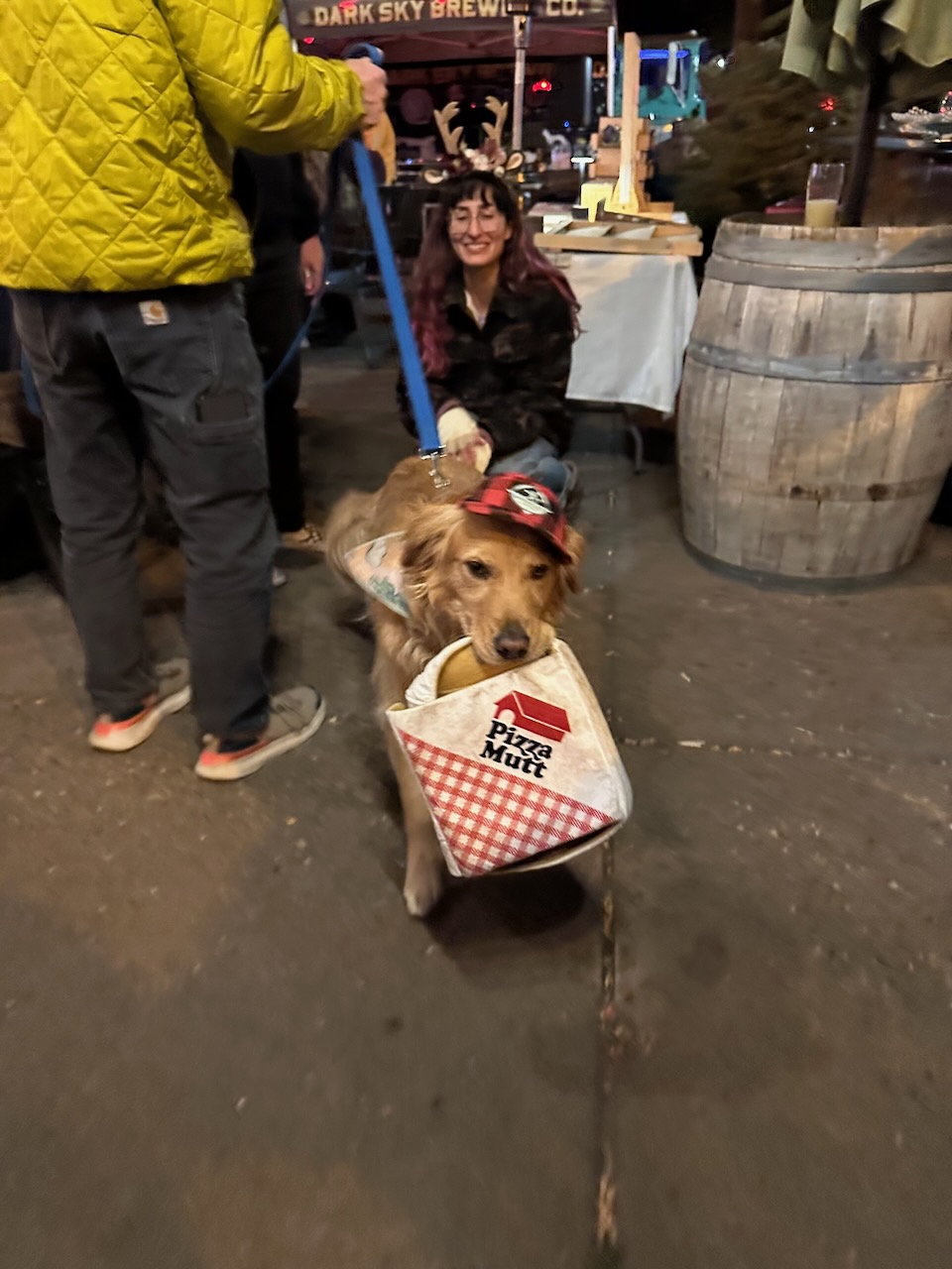 Golden retriever in a Pizza Mutt costume carrying a pizza box at Howl-O-Ween 2025