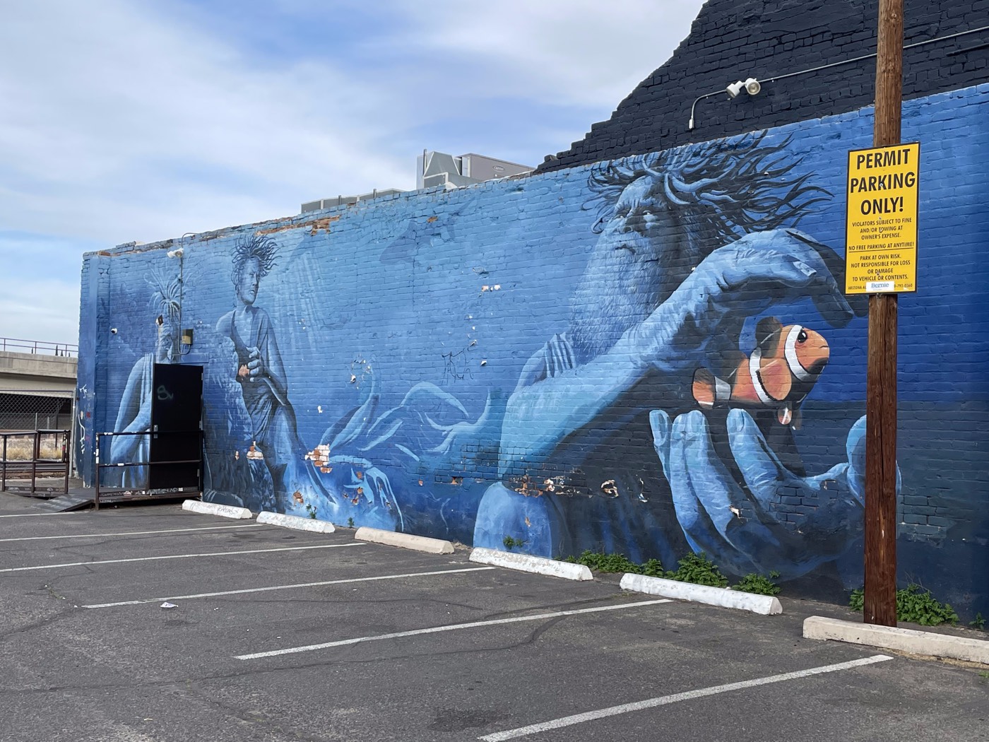 Giant blue hands cradling a clownfish on Tucson's Harboring Beauty mural